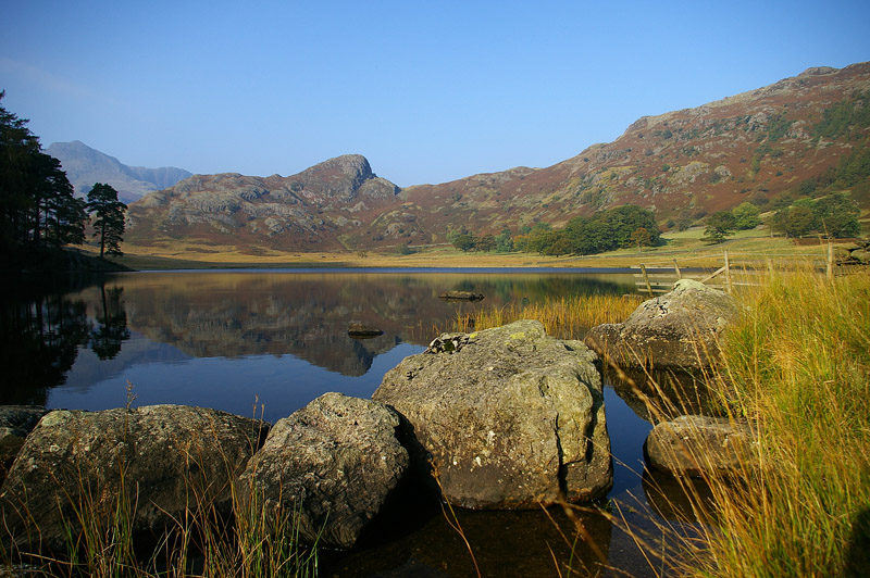 To save this picture as Windows Wallpaper - right click it - then select "Set as Background"